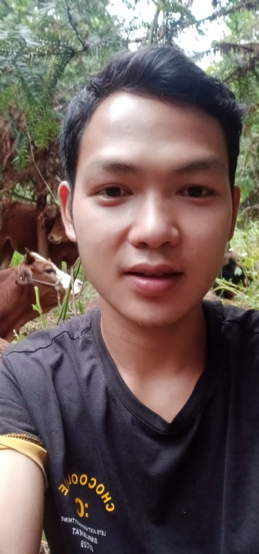 等AI的第一张照片--南丹蓝颜知己交友网